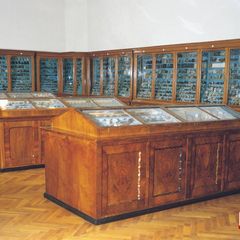 Az ásványok és az élet kiállítás | Tóth Mike-féle Ásványtár – Viski Károly Múzeum